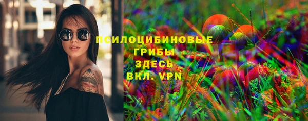 молекула духа Нефтекумск